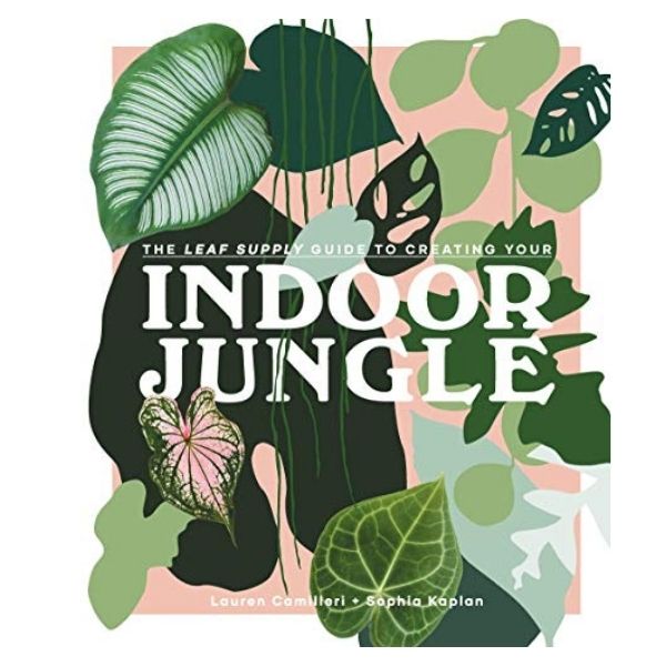 Indoor Jungle. The Leaf Supply Guide To Creating Your - The Corner Booth