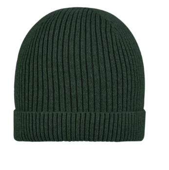 Toshi Organic Beanie Tommy/Pine