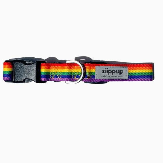 Ziippup Rainbow Dog Collar