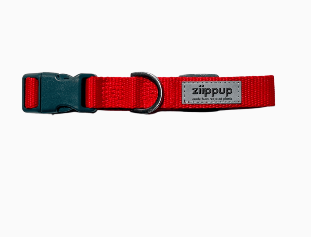 Ziippup Red Dog Collar