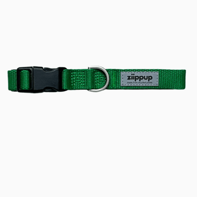 Ziippup Green Dog Collar