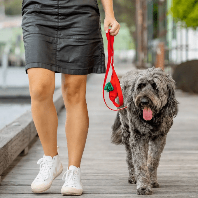 Ziippup Red Dog Leash with Built-in Poop Bag Holder