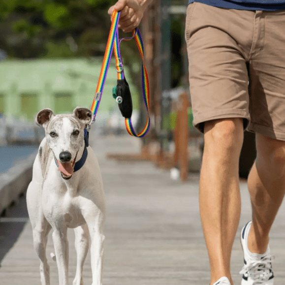 Ziippup Rainbow Dog Leash with Built-in Poop Bag Holder