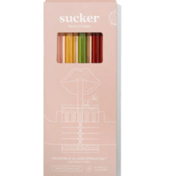 Sucker Reusable Glass Smoothie Straws Multi