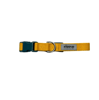 Ziippup Yellow Dog Collar