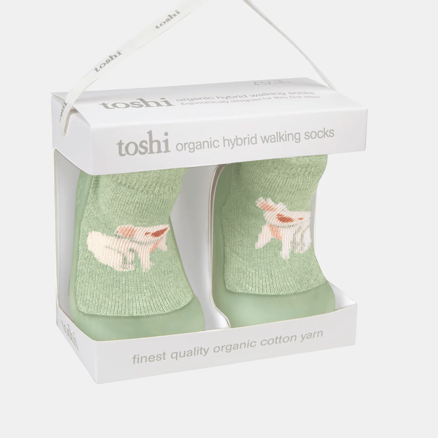 Toshi Hybrid Walking Socks Jacquard Koala