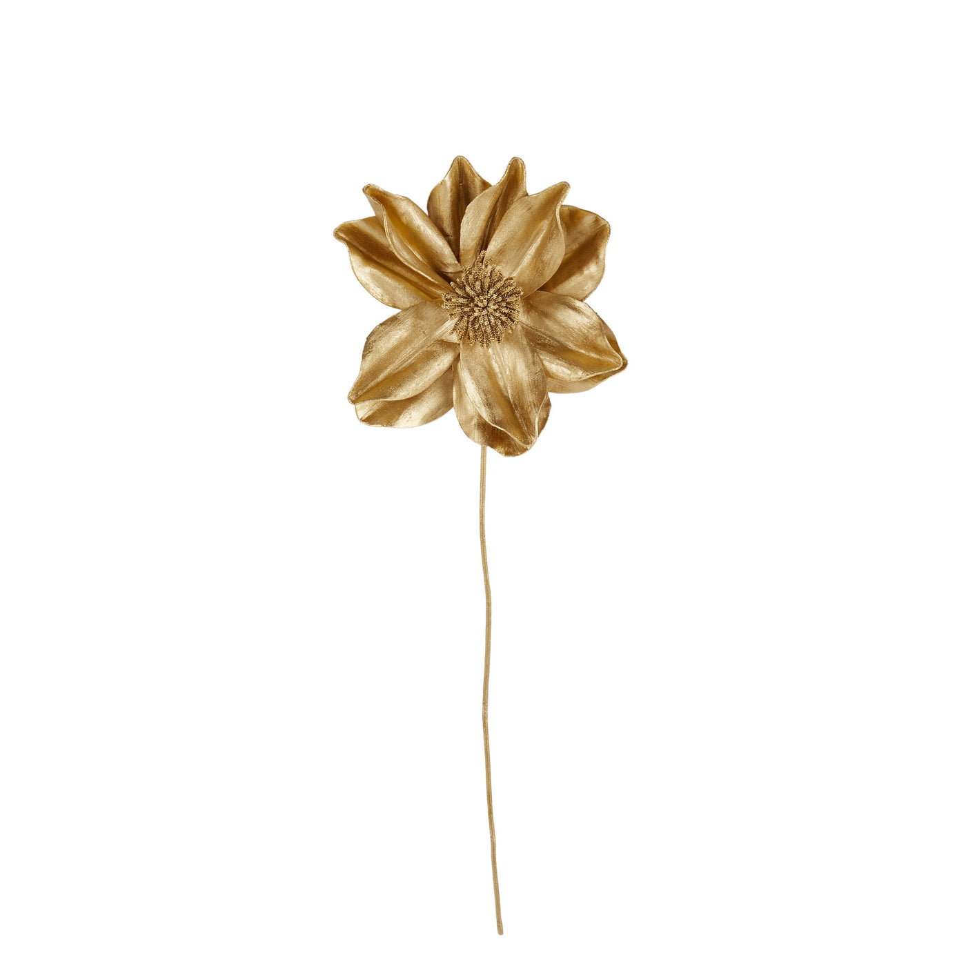 Magnolia Stem Gold