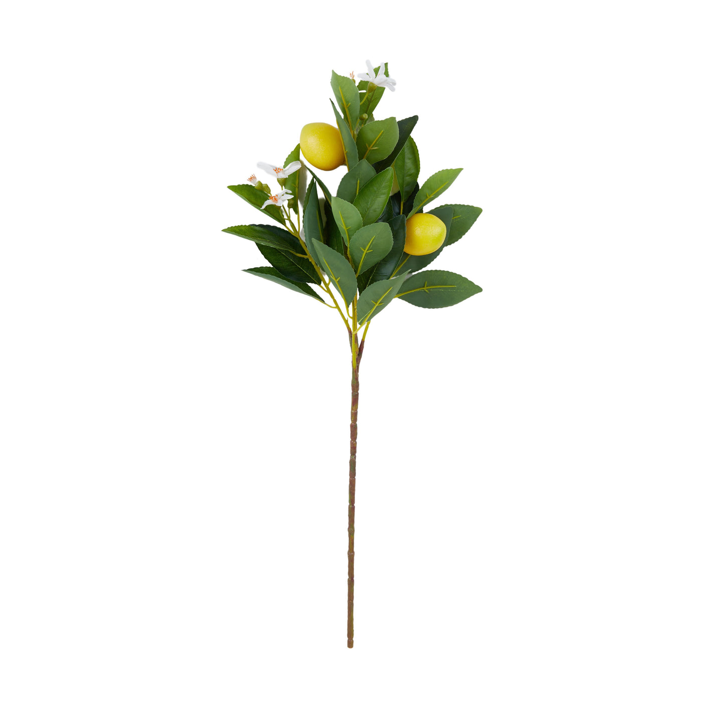 Lemon Stem Green/Yellow